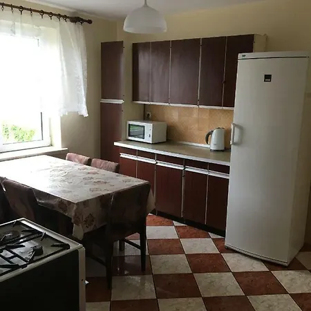 Tulipan Konin (Greater Poland)