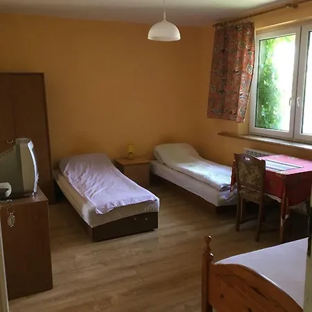 Tulipan Konin (Greater Poland)