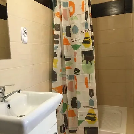 Tulipan * Konin (Greater Poland)