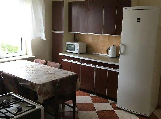 Tulipan Konin (Greater Poland)