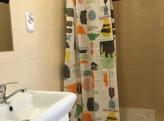 Tulipan * קונין